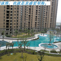 �y�z�{�|��СŮ�ӡ������ŷ���|�{�z�y