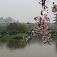 ����ӣ����