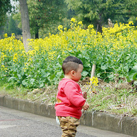 �Ͳ˻�����ʢ�����㣡