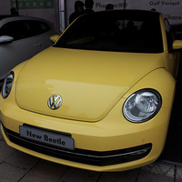the beetle�¼׿ǳ�����~