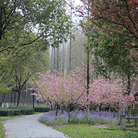 ��Ȼ�Ȳ���̫���壬������ĩҲ��һ����ȥ��---������԰