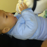 ��˱���������