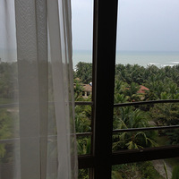 ��Rose�� ��ʮվ ��һ�밮��������