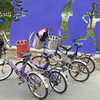 ����ֲ��԰--���ǵ���������