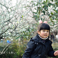 ������ı������Ĺ�����+�ɰ��ġ�����ʹ