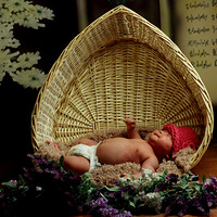 �٣�����������