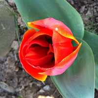 ����������