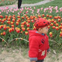 ���ſ�������