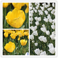 ����ůů��������ֲ��԰��ֲ��԰�����������