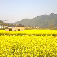 �ҵ��ϼ�--�����͵�