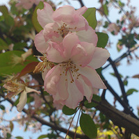 �������ͻ��ļ���