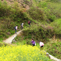 4��4��ͽ�����������