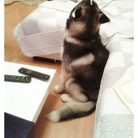 йʿ