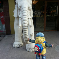 ������֮�����Baby~