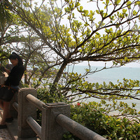 ��Rose�� ��ʮһվ ���ڡ�����/�˼�����