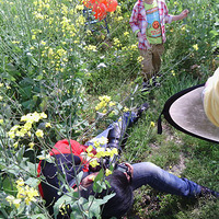 �������һ��С���⡪�����������⾰�μ�