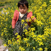 {ʢ�󡤾���������װ��]+�����Ĵ���~~~~~(���¿�)