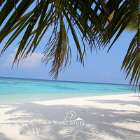 {���}���ҵ���ܰ�����Ρ�-��������Լ����������JD��