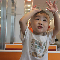 2012�������λع�