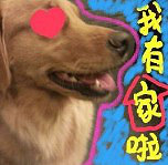 ��~һ��װ�޲���ļ�