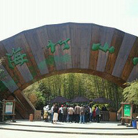 ������Ƭ��������