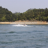 ǧ����������