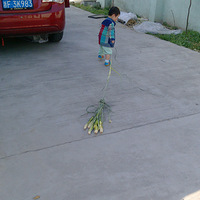 �����ܲ����㱦��