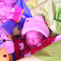 ��֤�����ĳɳ�