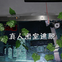 �������硿��FRIEND�������������������~~~