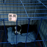 �����һ�����µı仯