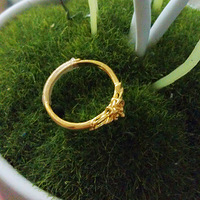 ɹɹ�������һЩ����