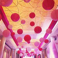 ���ѵĲ�ݮ���ϻ���С����������������