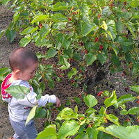 ժɣ��ඣ���