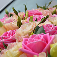 2013.5.19�����¼