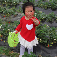 ����ժ��ݮ