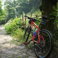 ����+���ˡ�����һ���ˣ����µ�