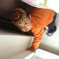 �����������������������