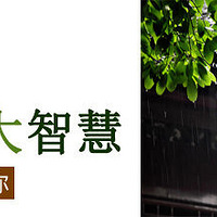 ��÷��װ�޹��ԡ�÷��װ��ing����������֪����