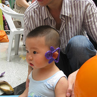 ���껪��ֱ���+����������