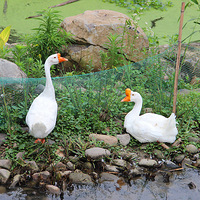 �����ӽڡ�+ ���Ͻ������ӻ��