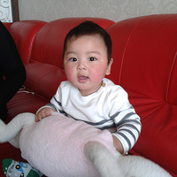 ���ı���������