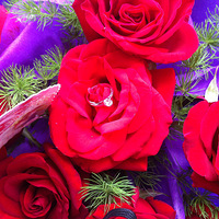 �ҵĵ�һ�š�������