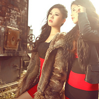 ���ഺ�ǲ����̵�ʹ��д�����װ��Ĺ��ۡ�һ֦���㡣