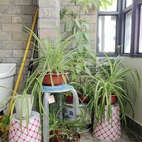 ������ʲô�Ķ������ˣ�����ֱ������������