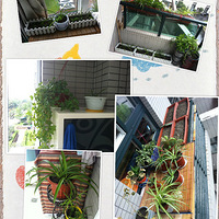 ����ССũ����