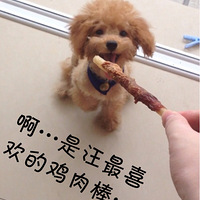 һЦŶ`(*_*)