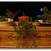 �ҳ�����