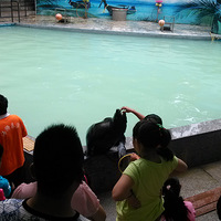 ����԰����