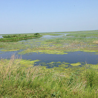 ��Rose�� ��ʮ��վ Ѱ�ҵ�ͼ����ʧ��ʪ�� �� ǧ��� 