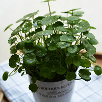 �����������Щ��